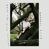 When the Wind Stopped