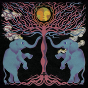 Moon Needs The Owl Pt. 1