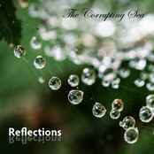 Reflections
