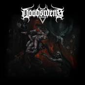 In the Shadows of the Abyss