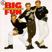 Big Fun: 20 Hits Of The 80`s