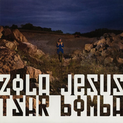 Past The Blue Brick Stone by Zola Jesus