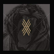 Nunca Dejes de Creer