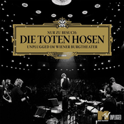 Weltmeister by Die Toten Hosen