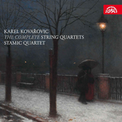 The Complete String Quartets (Stamic Quartet)