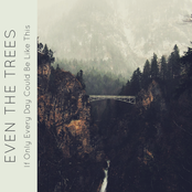 If Only Everyday Could Be Like This