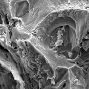 Nano EP