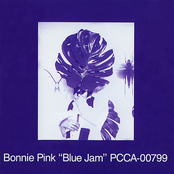 Too Young To Stop Loving by Bonnie Pink