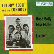 freddy scott & the condors