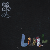 Lull