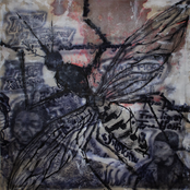 Soulja Hate Repellant