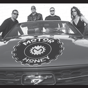 Motor Honey