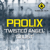 twisted angel / crust