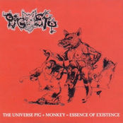 The Universe Pig + Monkey = Essence Of Existence