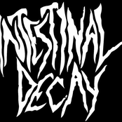 Intestinal Decay