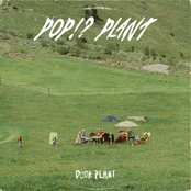 PoP!? Plant