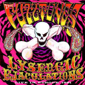 Be A Caveman by The Fuzztones