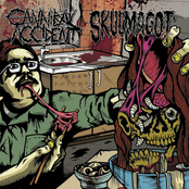 Cannibal Accident / Skulmagot