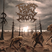 Festering Abscess Fornication by Fumes Of Decay