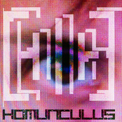Homunculus