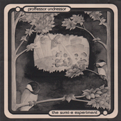 The Sumi-E Experiment