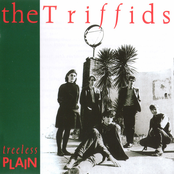 Red Pony by The Triffids