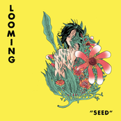 Looming: Seed