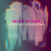 Strange Unknown - Single