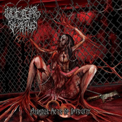 Heinous Acts Of Iniquity [Explicit]