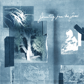 Sprouting from the Gums