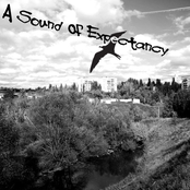 a sound of expectancy