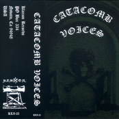 Catacomb Voices