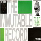 The Immutable Record Vol. 1