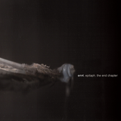 Electronic Manifesto 4. Epitaph. The End Chapter