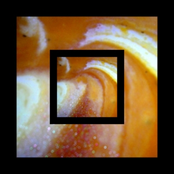 Enter The Void Of Mystery (Single).