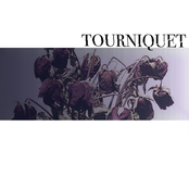 Anatomy of Obsession