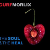 Gurf Morlix: The Soul & the Heal