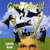 Gans Geweijt