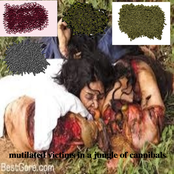 Mutilated Victims in a Jungle of Cannibals