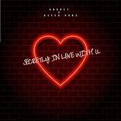 SILWY-Secretly in love with you