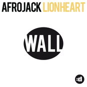 Lionheart (original Mix) by Afrojack