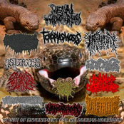 12 Way of Envenement for Heloderma Horridum