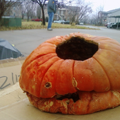 Halloween Wine-Binge-Grime-Singe EP