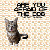 The Cat Album