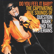 Do You Feel It by ? And The Mysterians