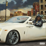 Spider Webbing Windshields