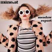 Meadow Report