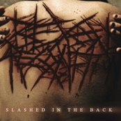 Slashed In The Back
