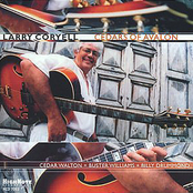 It Could Happen To You by Larry Coryell