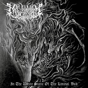 In The White Static Of The Liminal Void